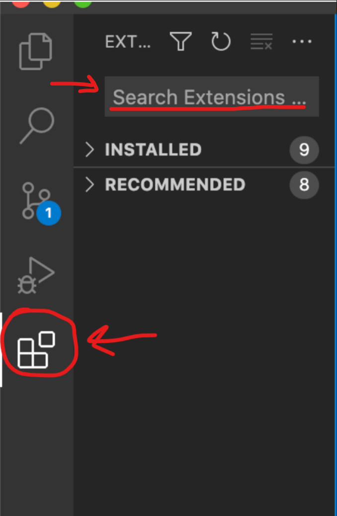 Navigating to the Extensions tab and the search bar inside