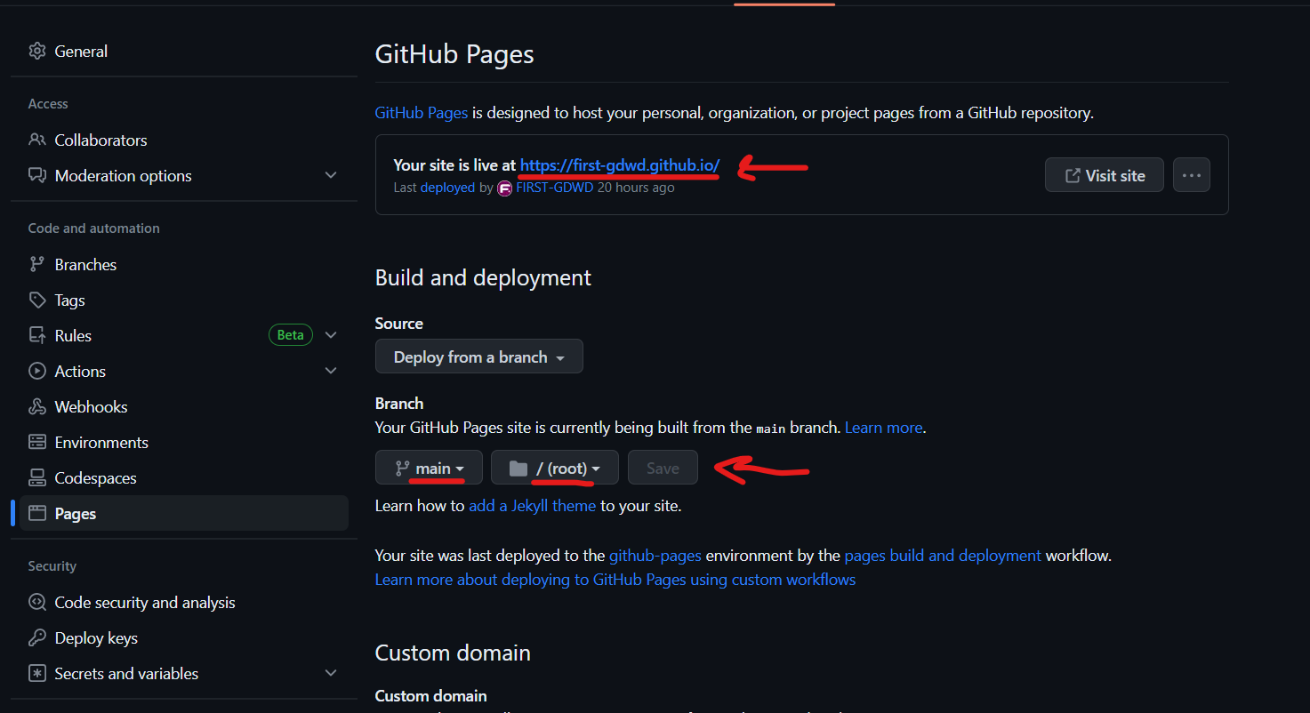 The repository settings 'Pages' view