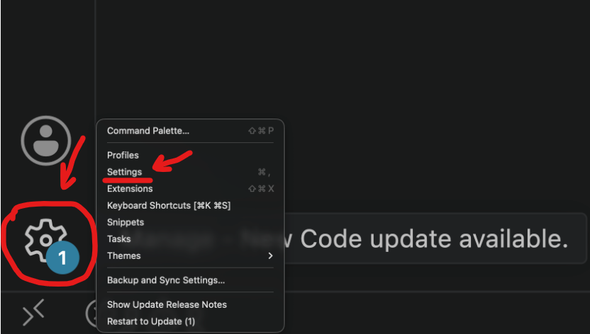 Click the cog wheel icon in the bottom left, and then Settings